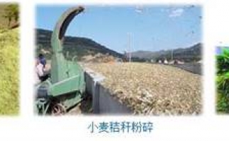 農(nóng)民科學(xué)發(fā)展新思路，秸稈綜合利用成為賺錢好門(mén)路之秸稈顆粒機(jī)