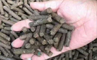 水果渣越來越受歡迎，因為它的出現(xiàn)—生物質顆粒機設備