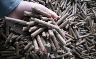 鋸末顆粒機顆粒，一種快速增長的能源載體